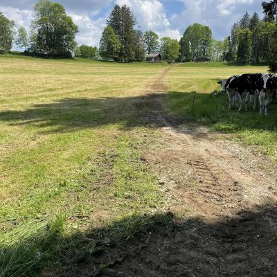 Rembouchage 7